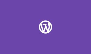 如何使主题支持 Woocommerce