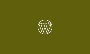 WordPress 插件为主题提供页面模板